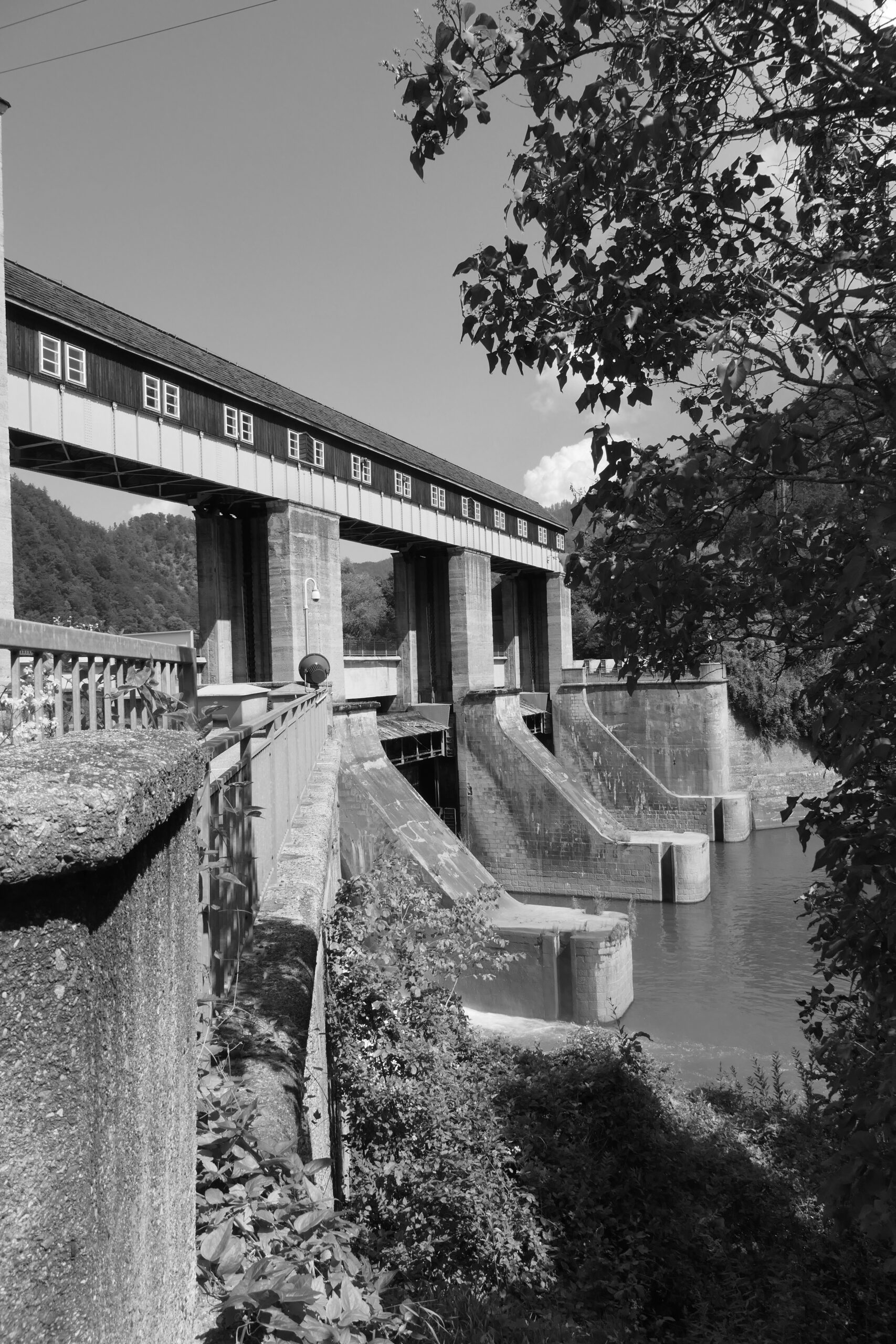P1043660_sw