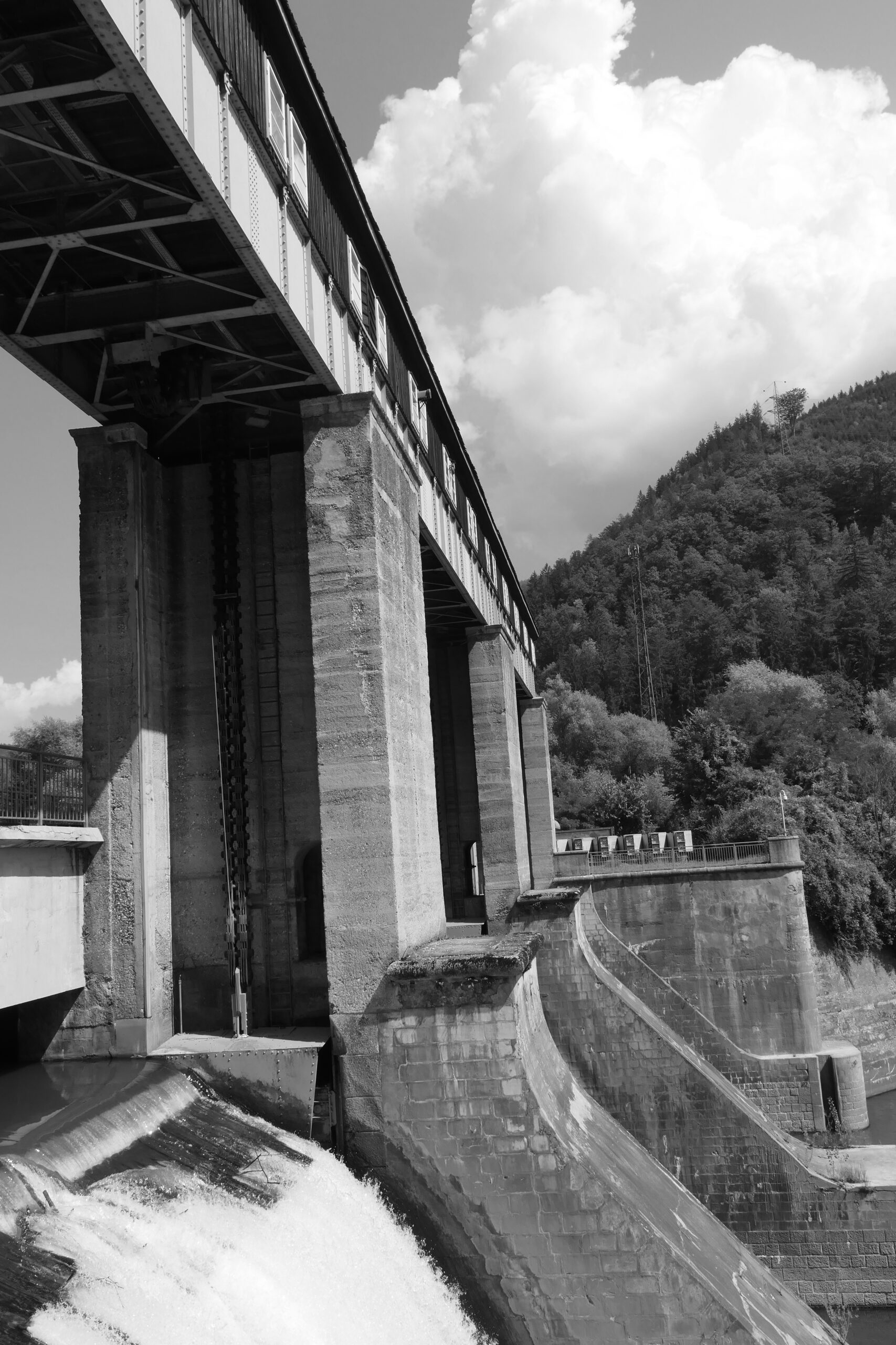P1043675_sw