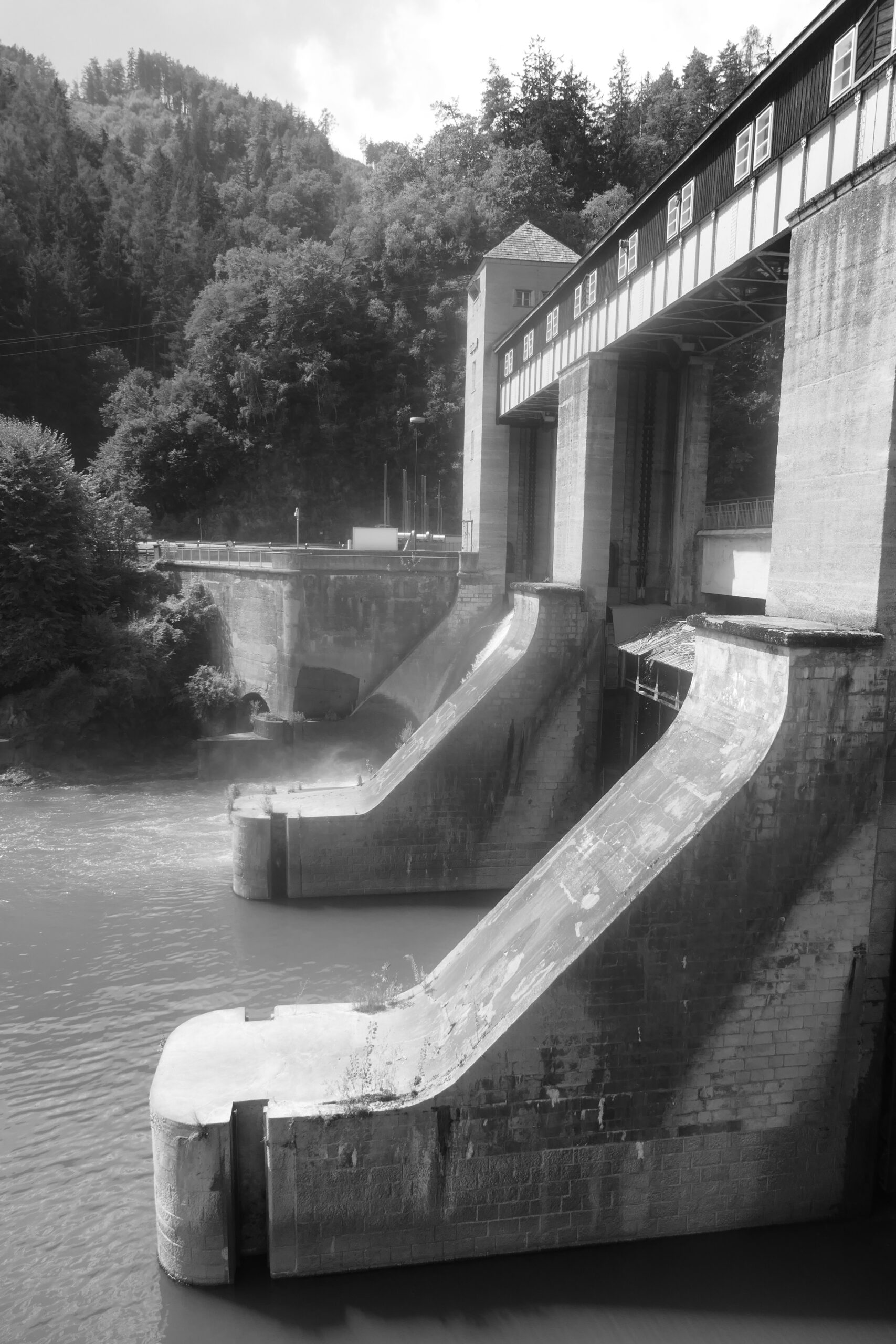 P1043716_sw
