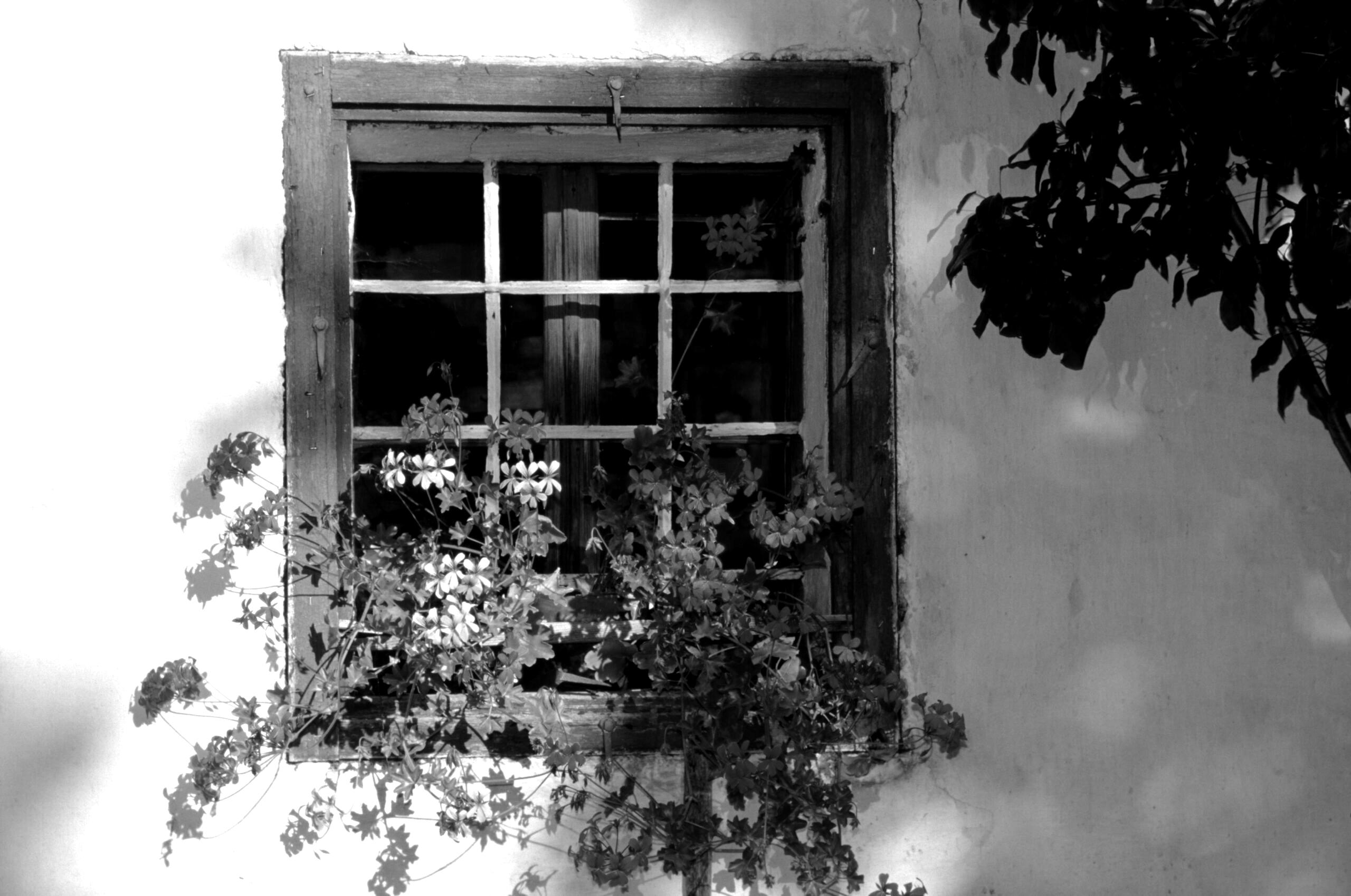 1999_K1_D7-scaled-blackwhite
